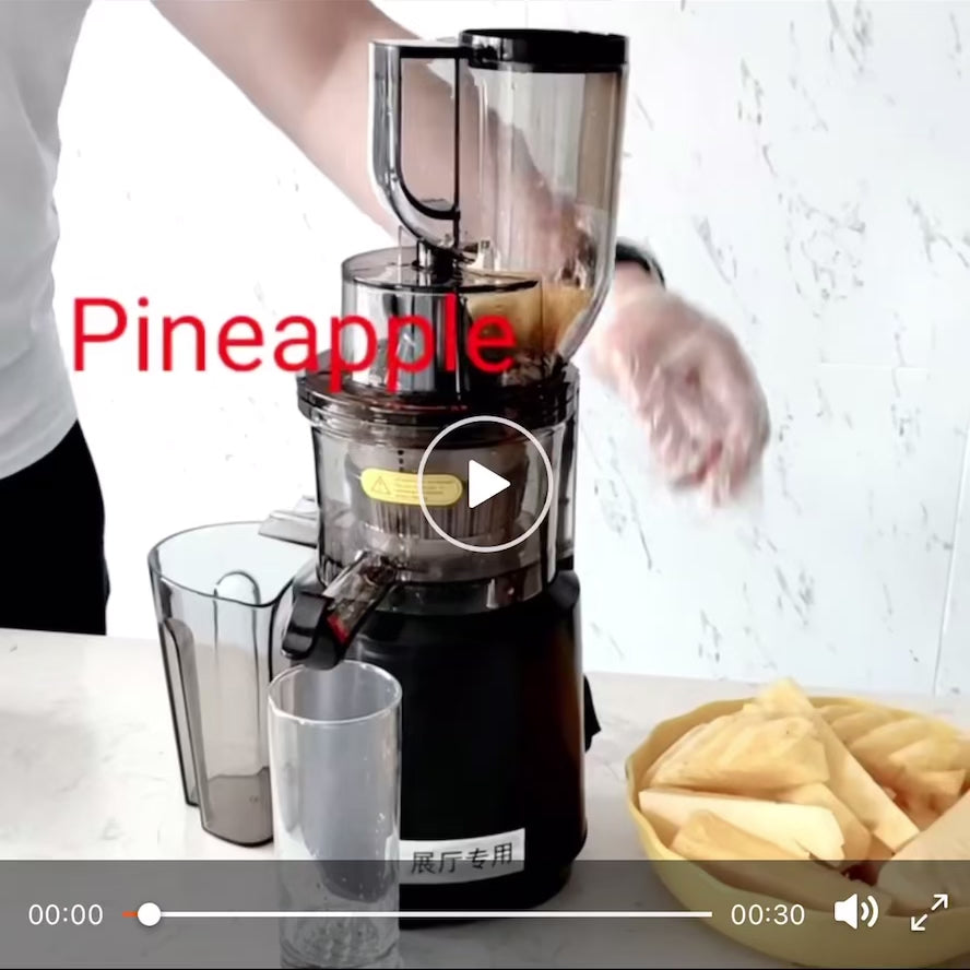 ISP slow masticating juicer