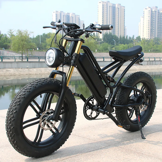 ISP 48v 1500w Fast Retro E-bike Electric Cycle Road Dirt Fat Tire Mountain Bike, Carbon steel frame 20inches (55Km/h)